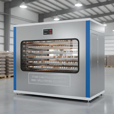 좋은 품질과 맞춤형 고속 건조 계란 건조기 기계